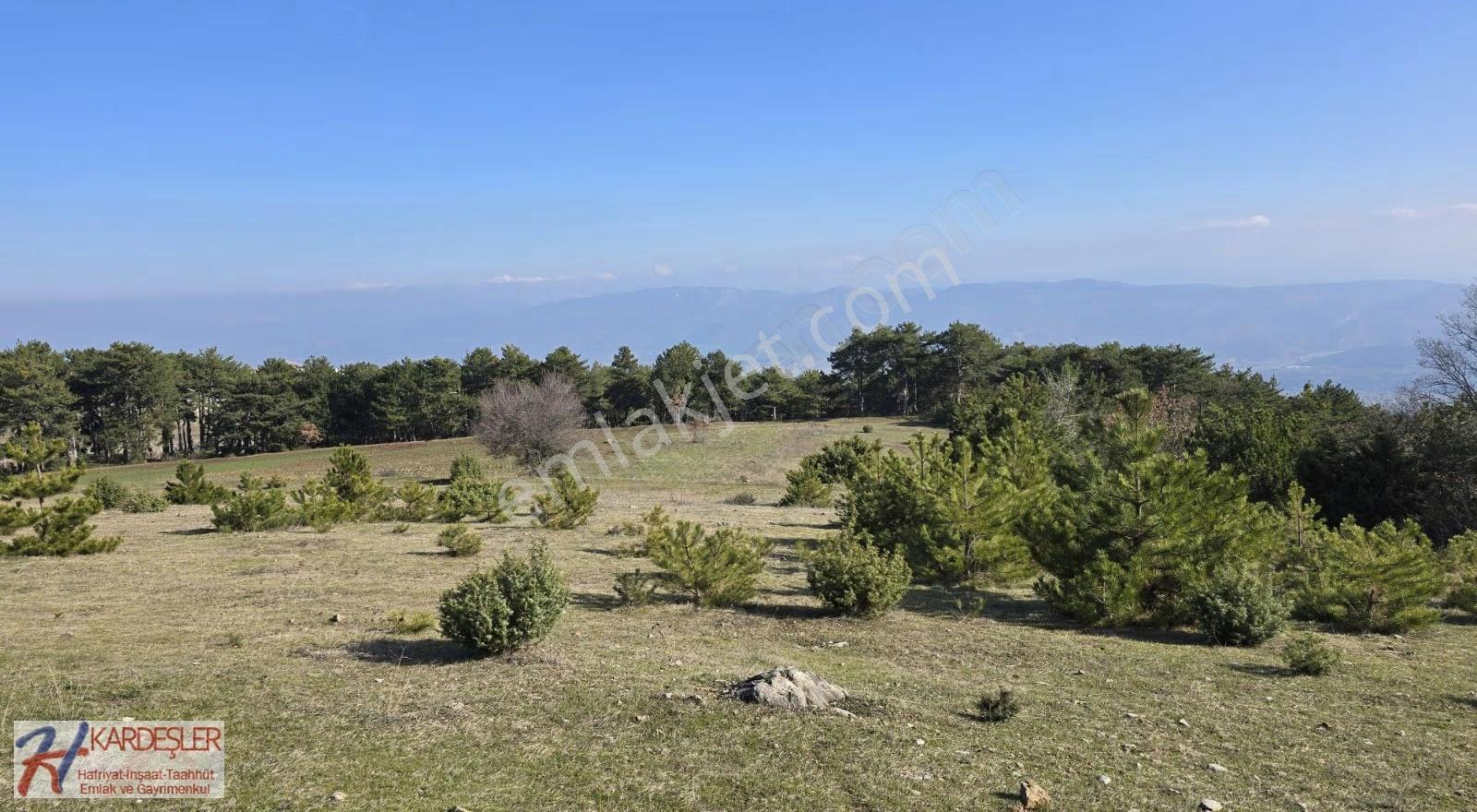 Sakarya P.ova Akçakaya Ormana Cephe Kaçırılmayacak Kupon Arazi - Görsel 2
