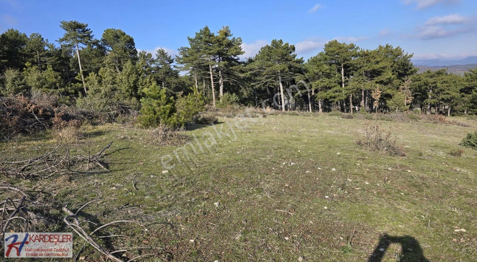 Sakarya P.ova Akçakaya Ormana Cephe Kaçırılmayacak Kupon Arazi - Görsel 25