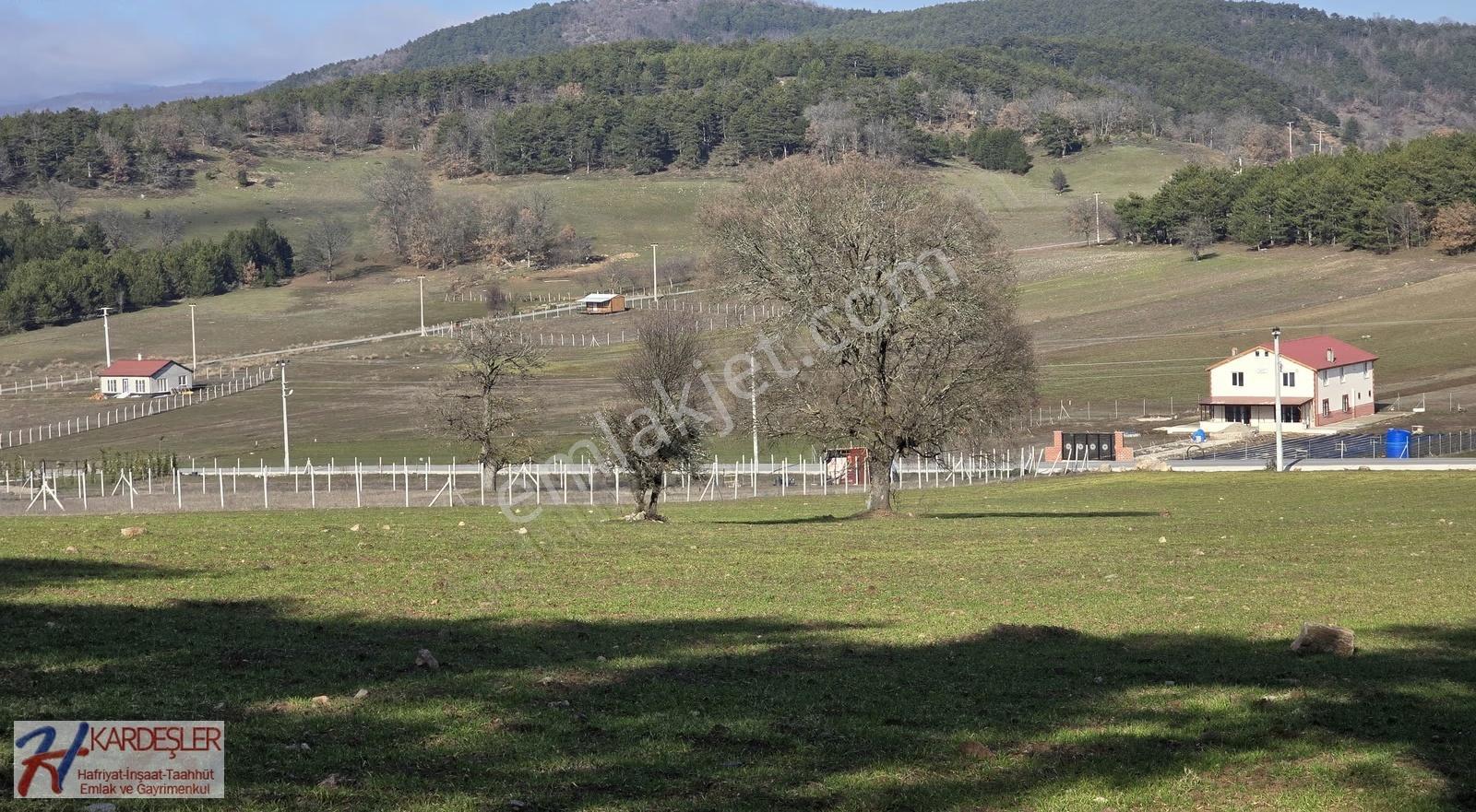 Sakarya P.ova Akçakaya Ormana Cephe Kaçırılmayacak Kupon Arazi - Görsel 29