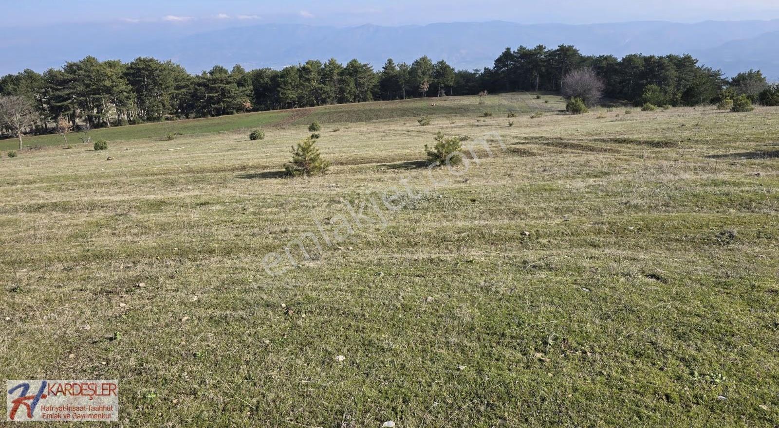 Sakarya P.ova Akçakaya Ormana Cephe Kaçırılmayacak Kupon Arazi - Görsel 17
