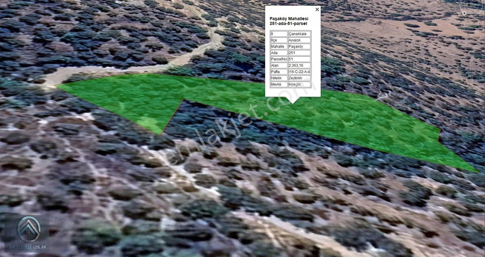 Çanakkale Ayvacık Paşaköy Fırsat Zeytinlik