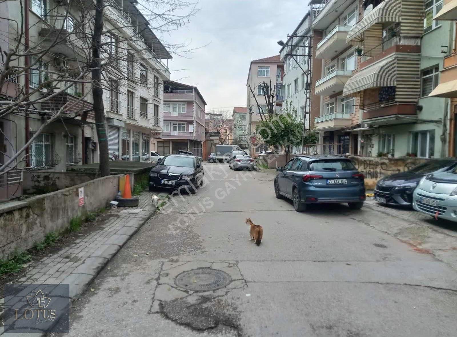 İzmit Mehmet Ali Paşa Mahallesinde Satılık 120m2 İşyeri & Dükkan - Görsel 14