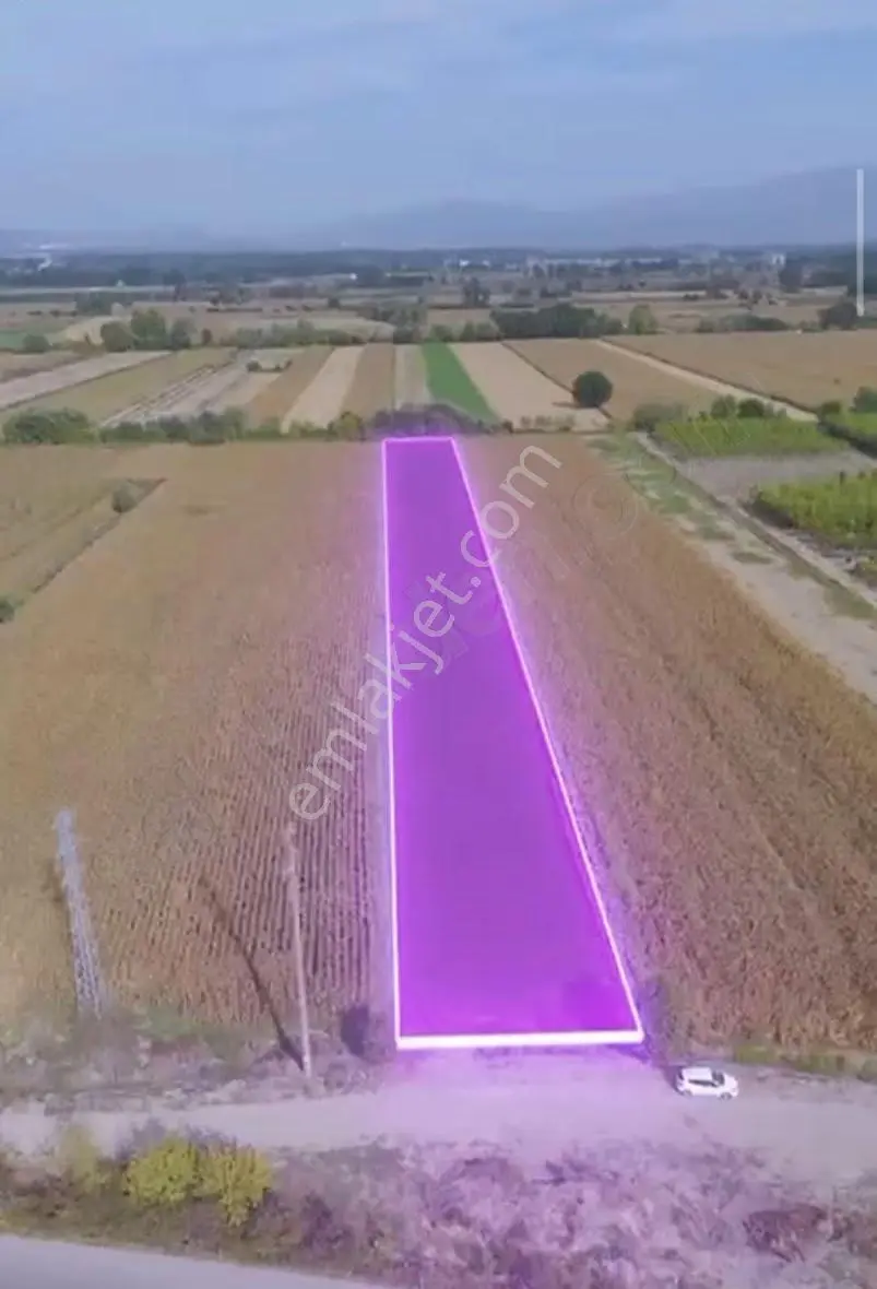 Sakarya Akyazı Uzuncayır Söğütlük. Fırsat Arsa.