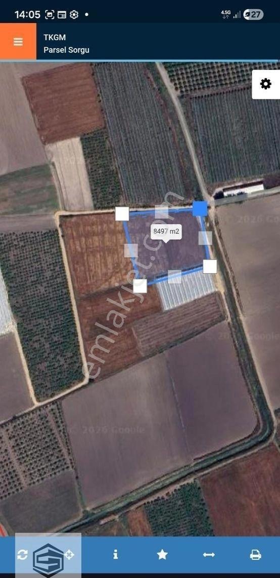 Manavgat,bereket'te Yerleşim Yerine Yakın 8.500 M2 Tarla - Görsel 2