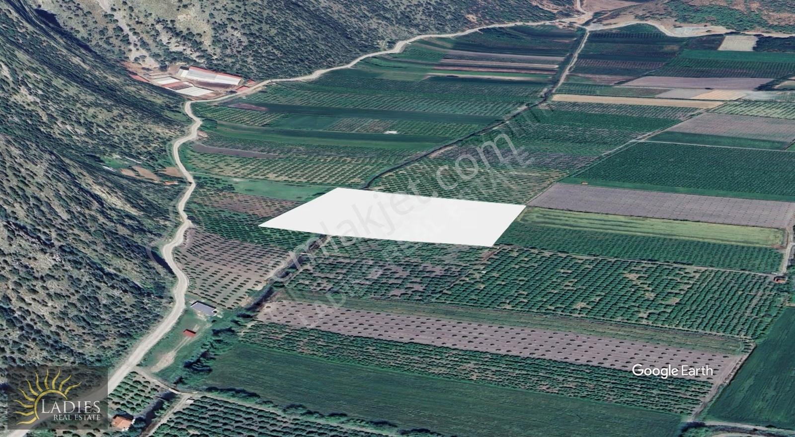 Ortaca Yeşilyurt 23 Dönüm Arazi - Görsel 2