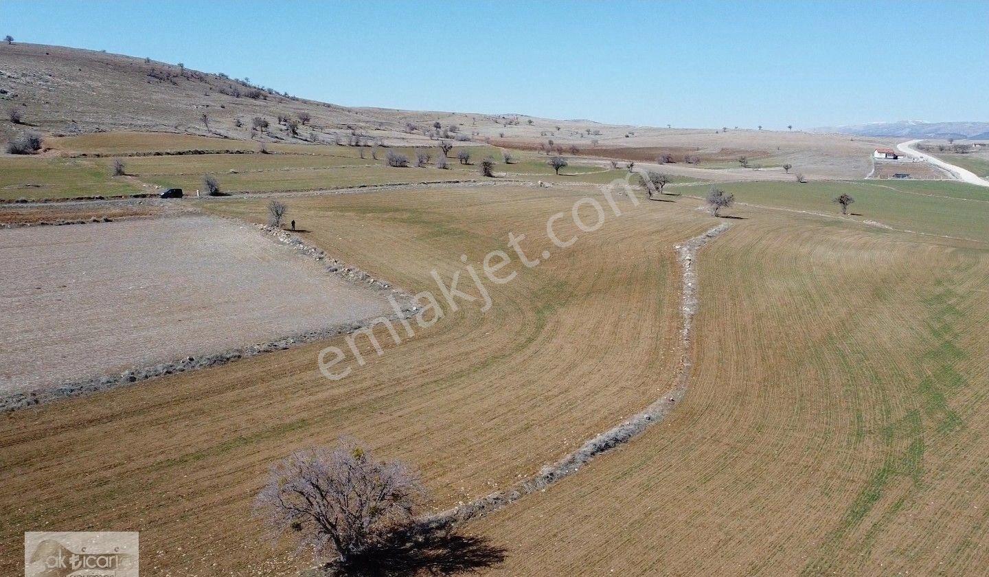 Satılık Sulu Tarla Konya Meram Karadiğin Deresi Pınarın Yakını - Görsel 8