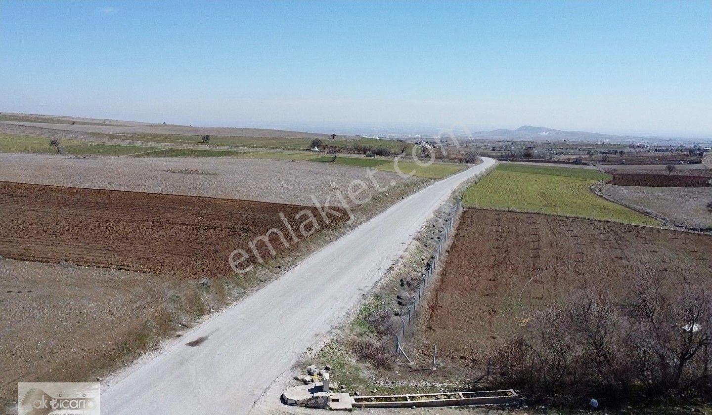Satılık Sulu Tarla Konya Meram Karadiğin Deresi Pınarın Yakını - Görsel 4