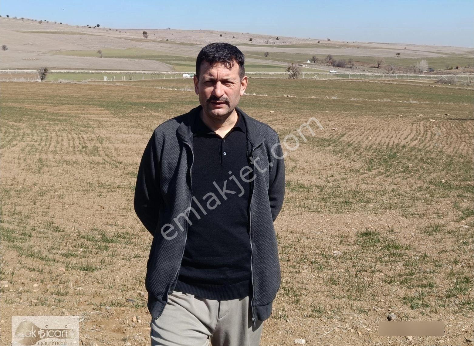 Satılık Sulu Tarla Konya Meram Karadiğin Deresi Pınarın Yakını - Görsel 25