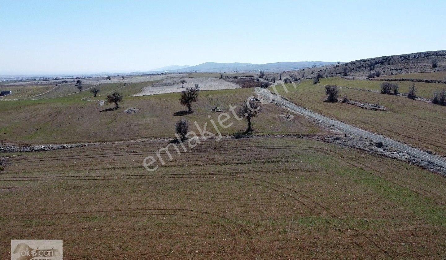 Satılık Sulu Tarla Konya Meram Karadiğin Deresi Pınarın Yakını - Görsel 3