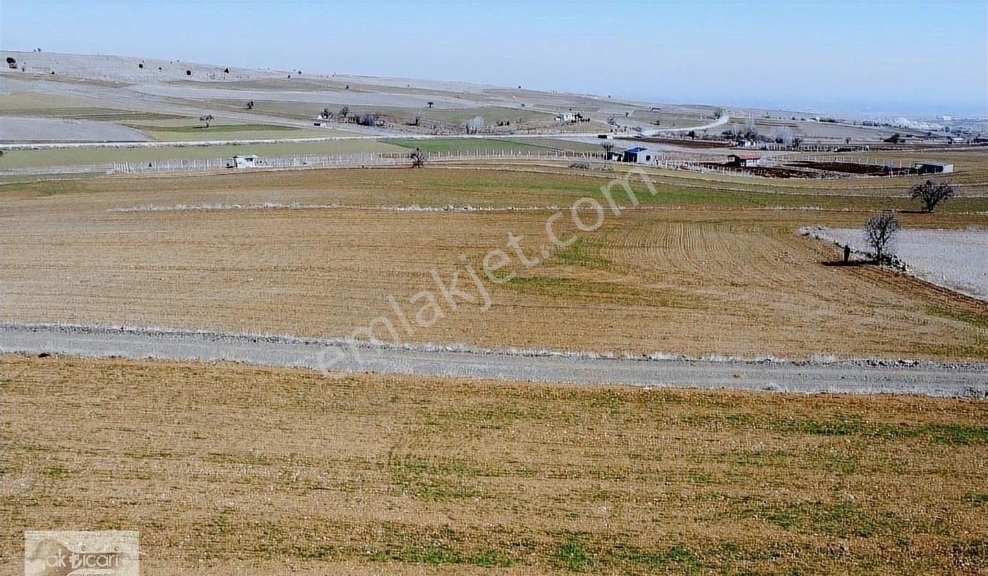 Satılık Sulu Tarla Konya Meram Karadiğin Deresi Pınarın Yakını - Görsel 16