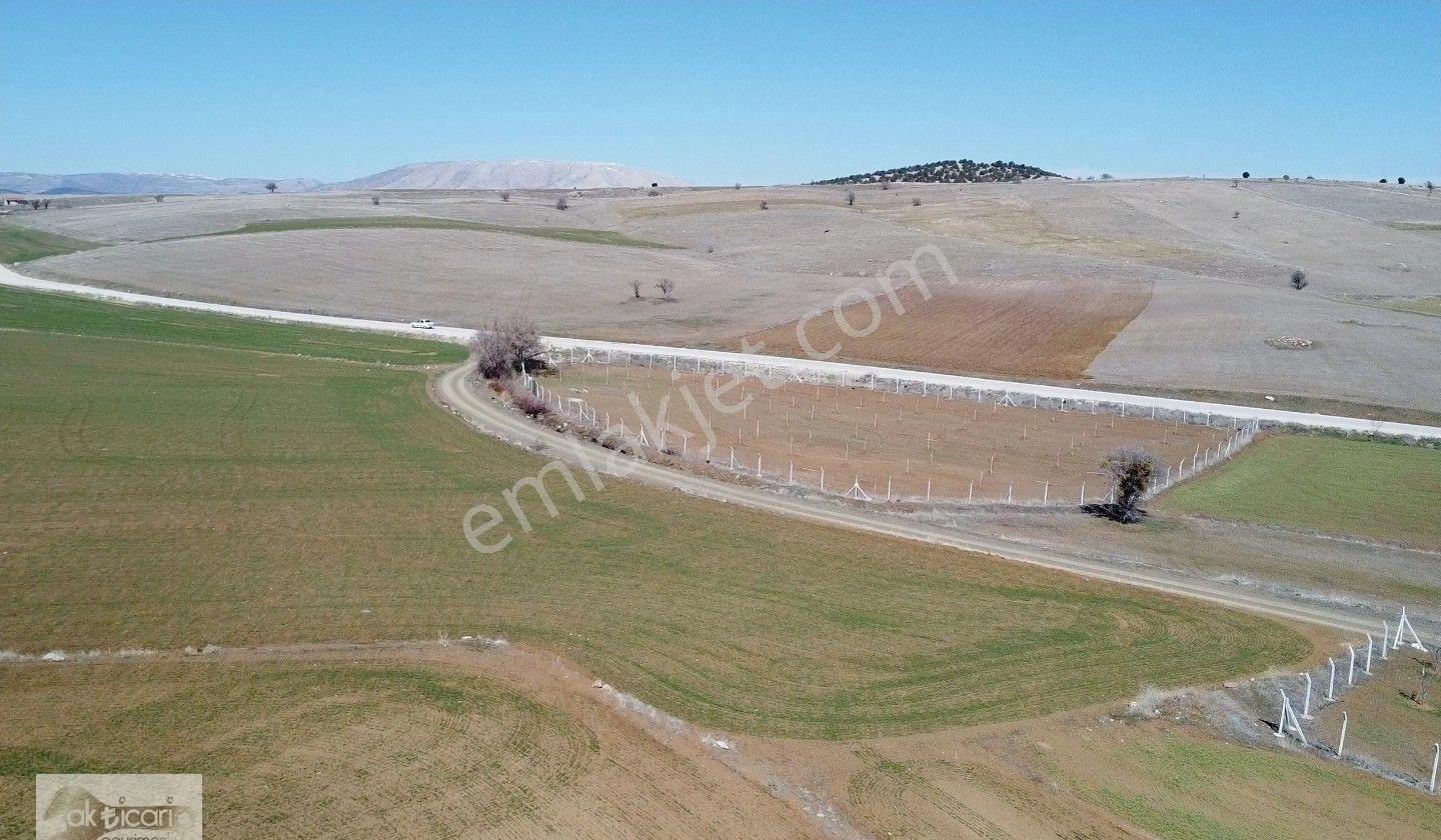 Satılık Sulu Tarla Konya Meram Karadiğin Deresi Pınarın Yakını - Görsel 12