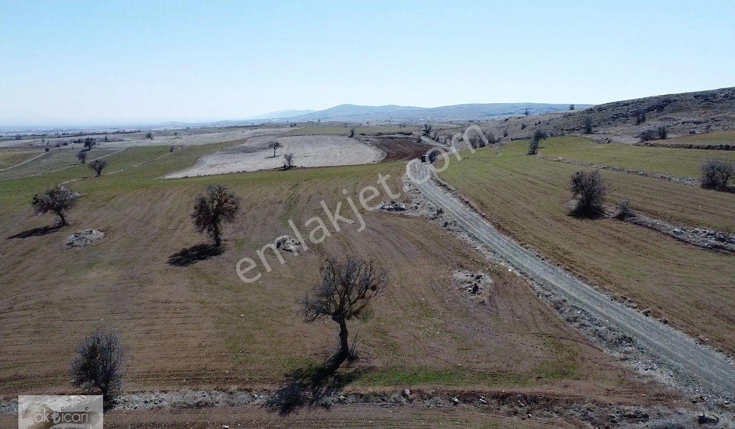 Satılık Sulu Tarla Konya Meram Karadiğin Deresi Pınarın Yakını - Görsel 6