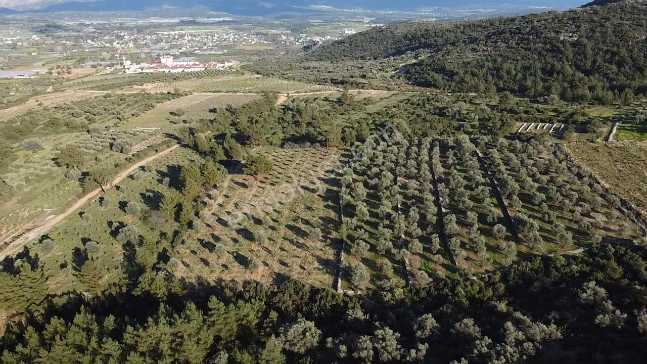 Yakabağ'da Yatırımlık ! İmar Sınırında Tek Tapu 11.287 M² Arazi - Görsel 22