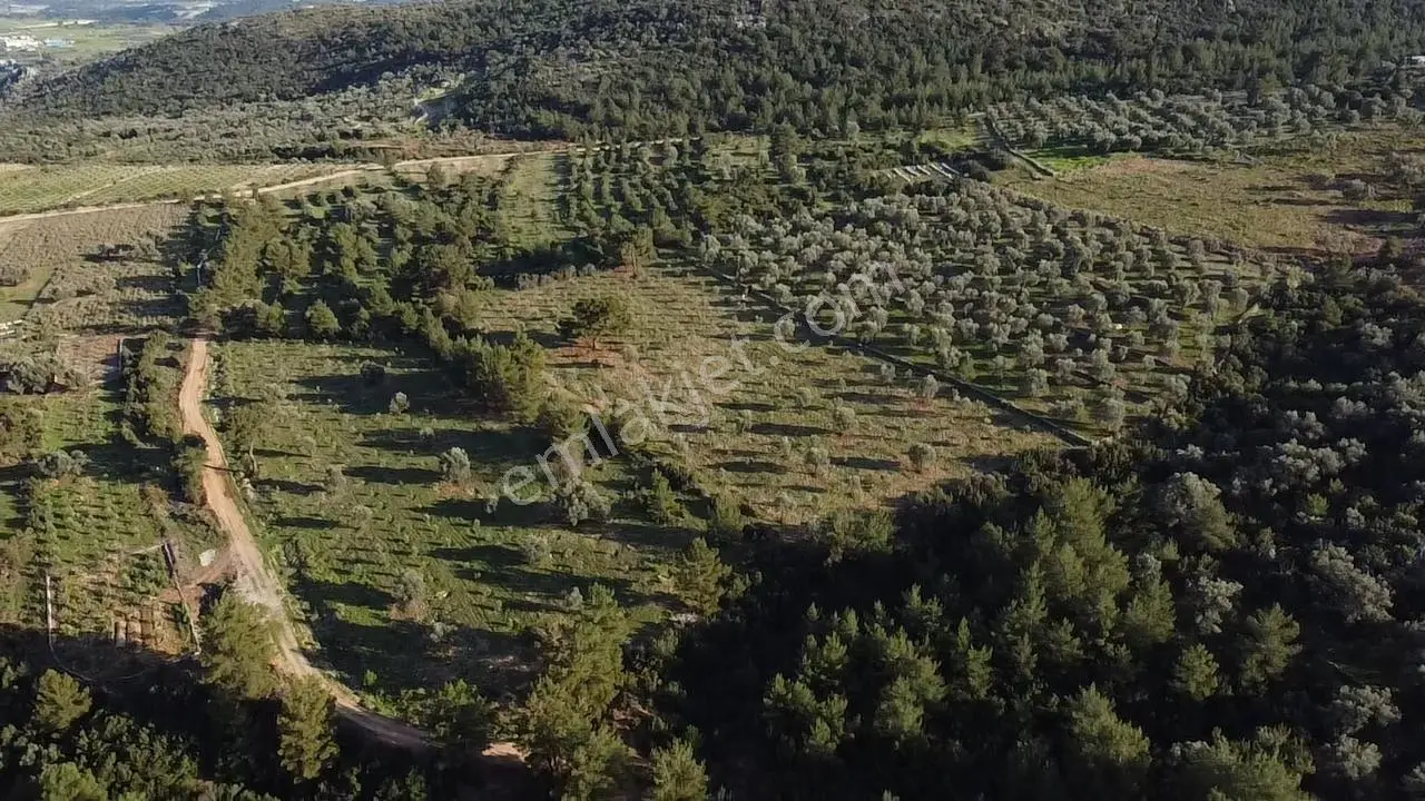 Yakabağ'da Yatırımlık ! İmar Sınırında Tek Tapu 11.287 M² Arazi - Görsel 4
