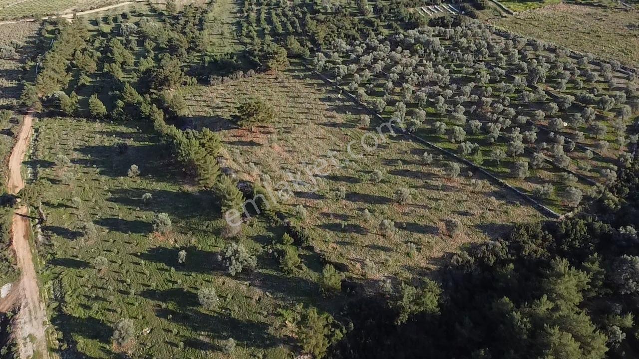 Yakabağ'da Yatırımlık ! İmar Sınırında Tek Tapu 11.287 M² Arazi - Görsel 6