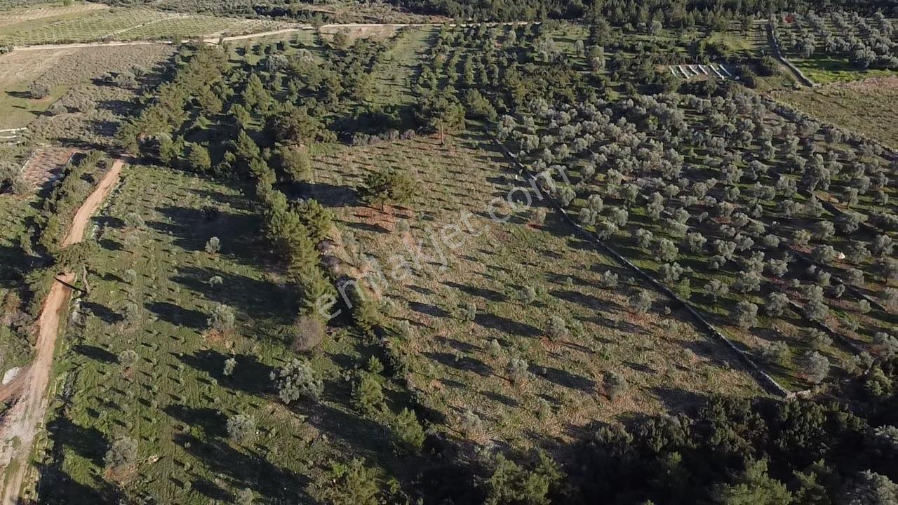 Yakabağ'da Yatırımlık ! İmar Sınırında Tek Tapu 11.287 M² Arazi - Görsel 21