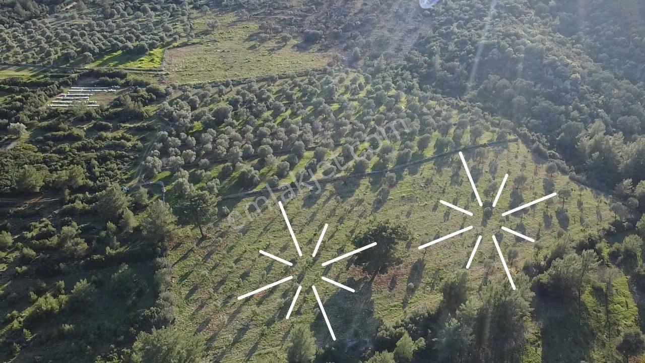 Yakabağ'da Yatırımlık ! İmar Sınırında Tek Tapu 11.287 M² Arazi - Görsel 2