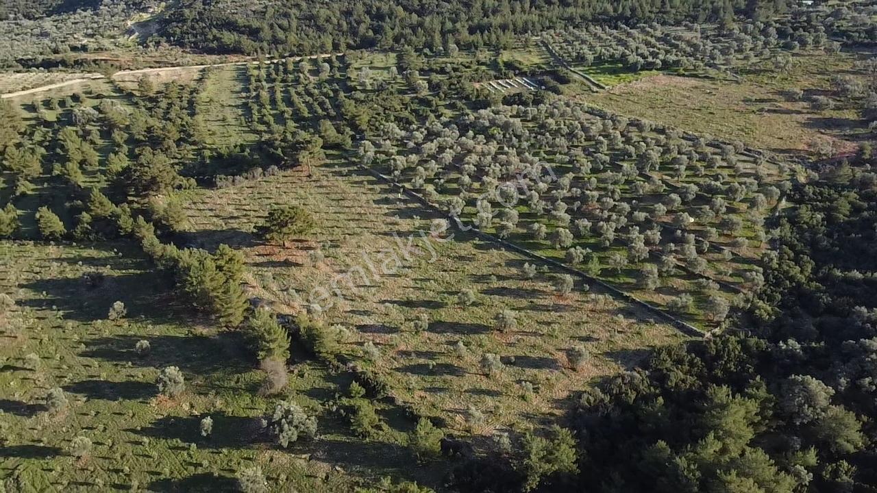 Yakabağ'da Yatırımlık ! İmar Sınırında Tek Tapu 11.287 M² Arazi - Görsel 12