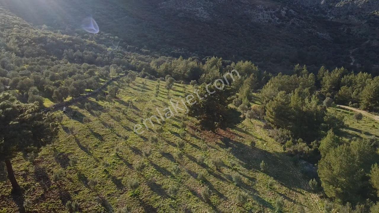 Yakabağ'da Yatırımlık ! İmar Sınırında Tek Tapu 11.287 M² Arazi - Görsel 8