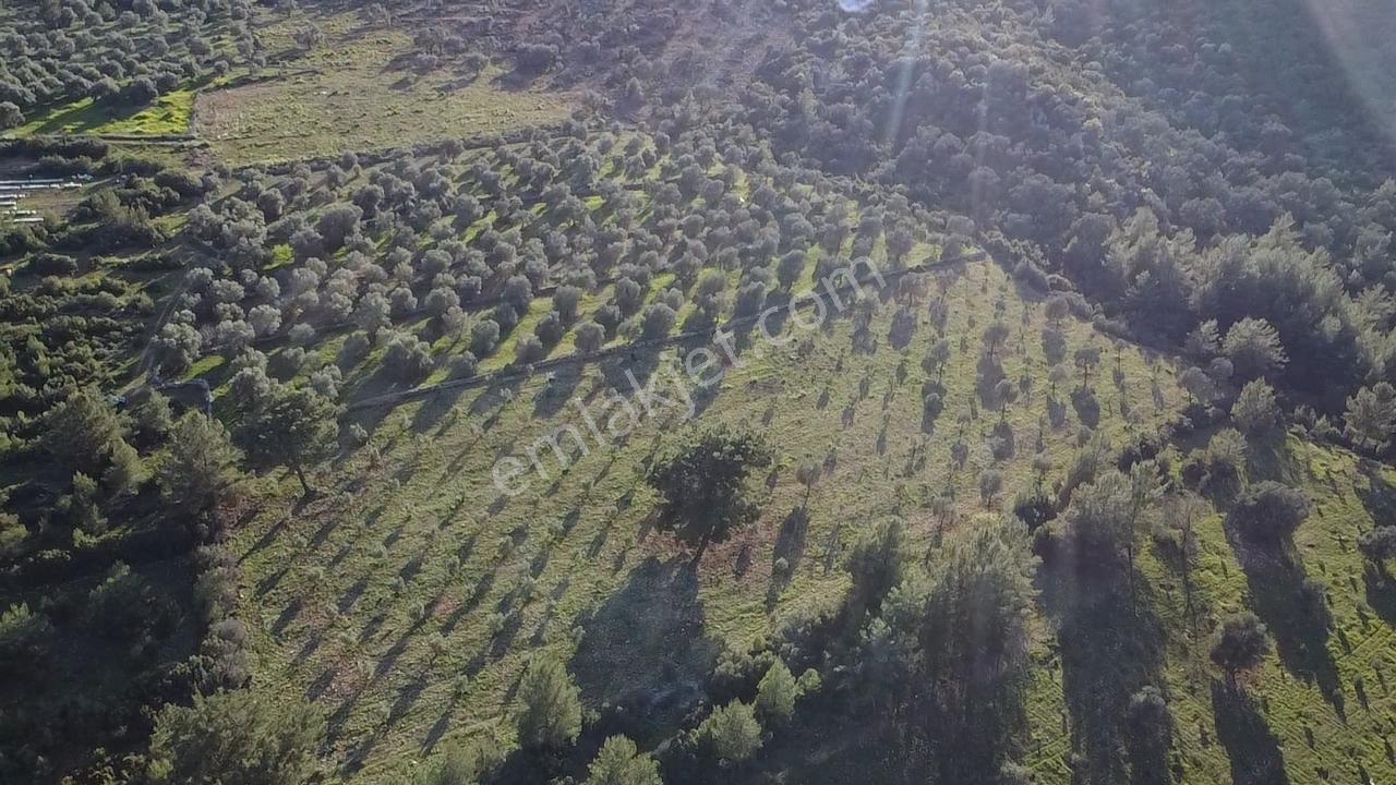 Yakabağ'da Yatırımlık ! İmar Sınırında Tek Tapu 11.287 M² Arazi - Görsel 33