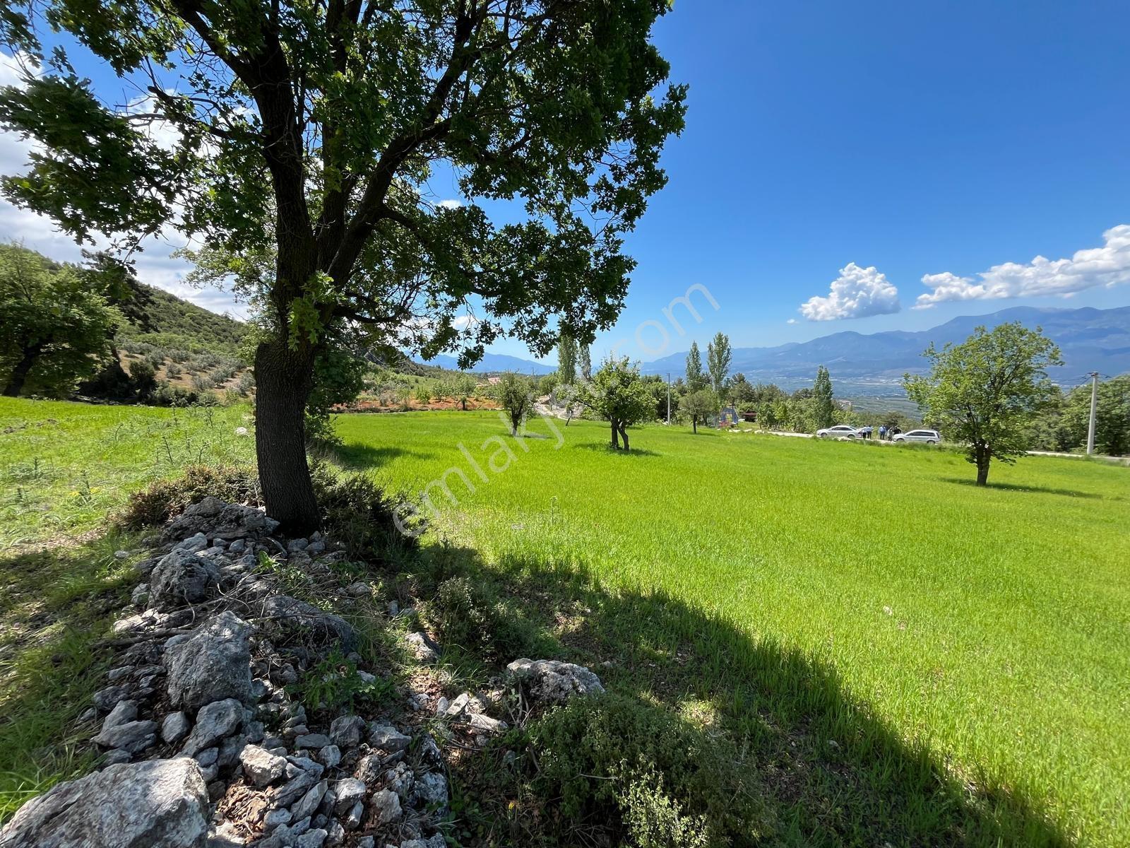 Seydikemer Çatak 'da 2417 M2 Panoromik Manzaralı Fırsat Arazi - Görsel 7