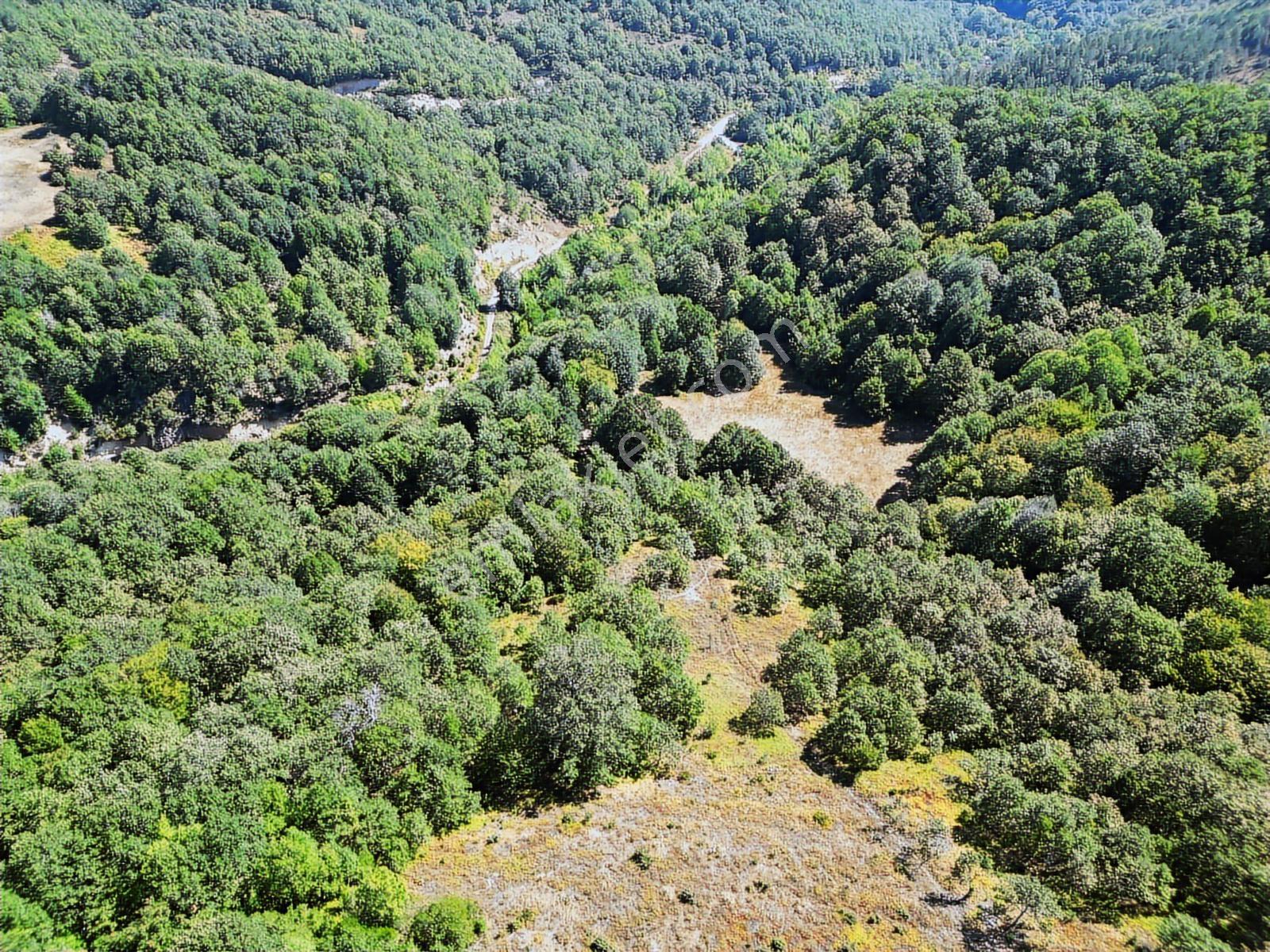 Cb'den Balıkesir Gönende Doğa İle İç İçe Satılık Tarla - Görsel 7