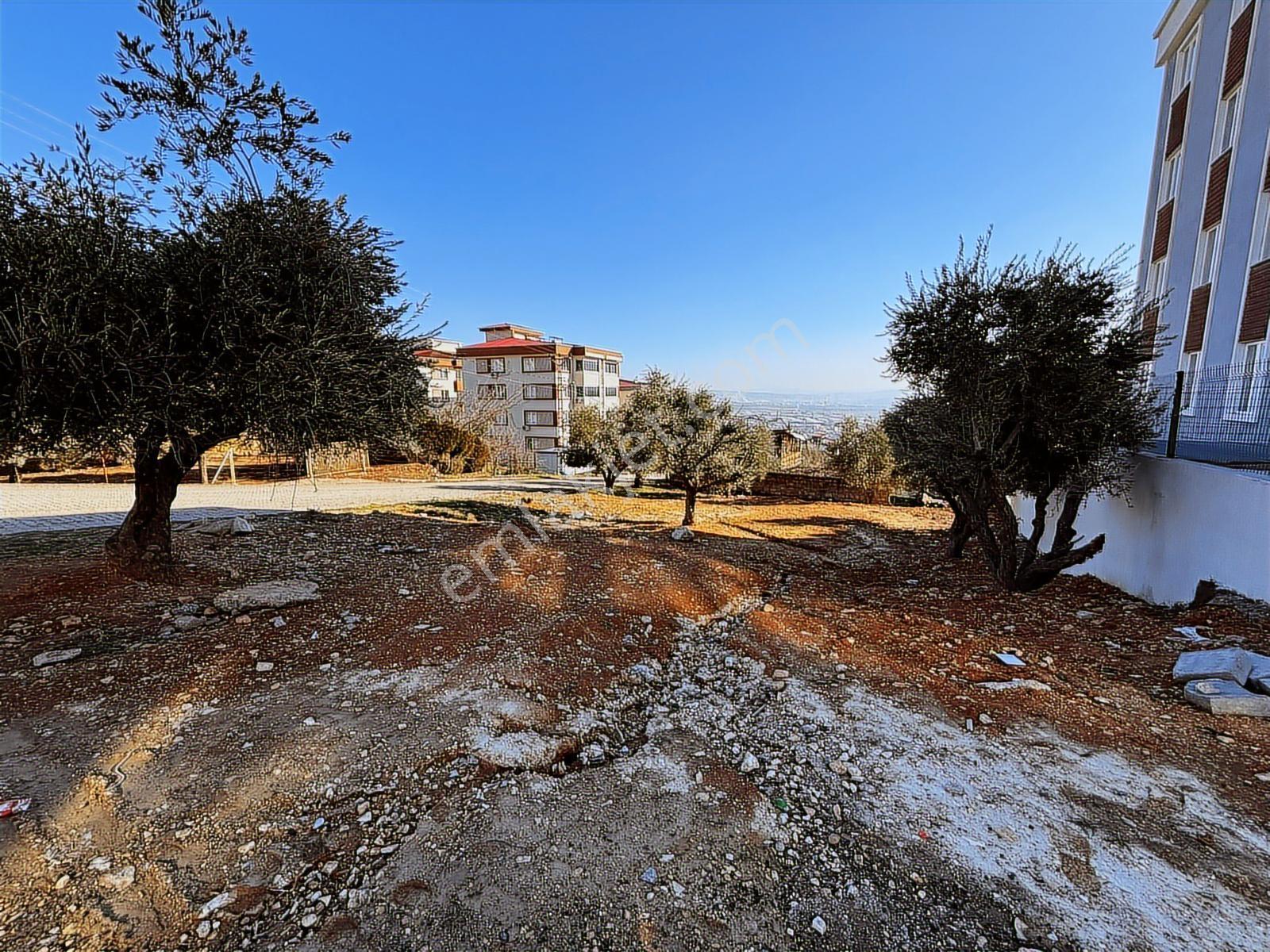 Cb'den Ballıca Mh.de (407m2) Satılık 4 Kat Konut İmarlı Arsa - Görsel 9