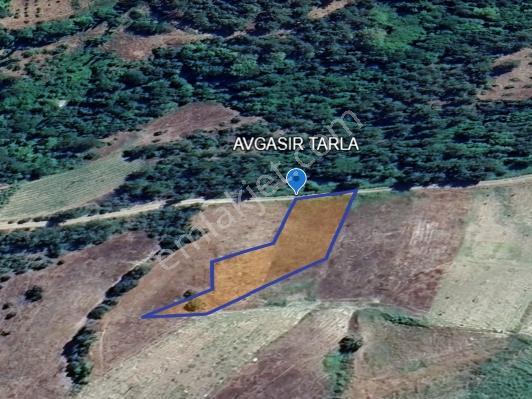Coldwell Banker'den Avgasır Da Müstakil Tapulu Satılık Tarla - Görsel 2
