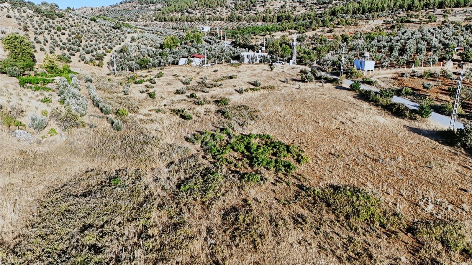 Cb'den Yeşilyöre Karauşağında (19,853 M2) Satılık Tarla - Görsel 5
