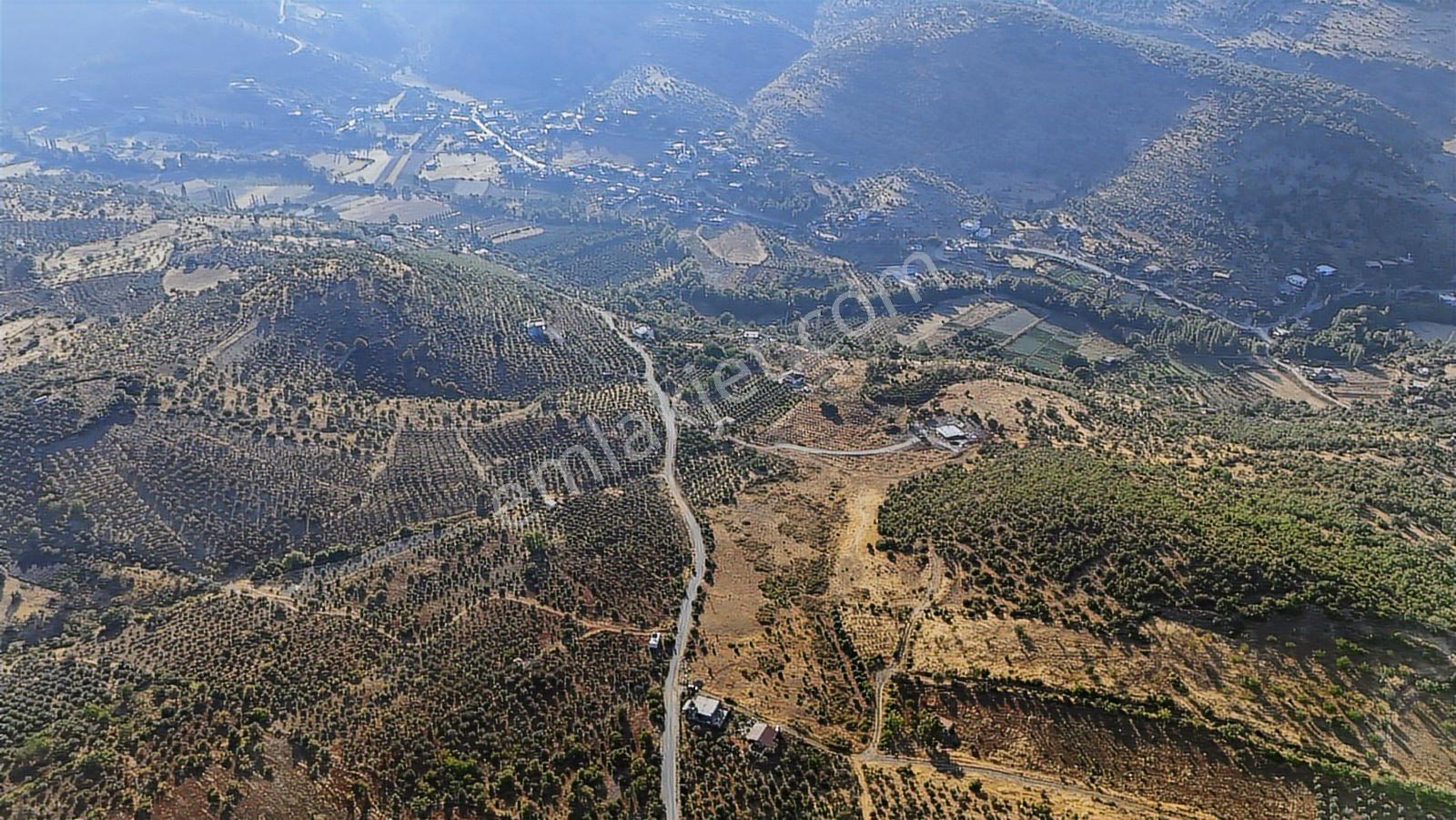 Cb'den Yeşilyöre Karauşağında (19,853 M2) Satılık Tarla - Görsel 4