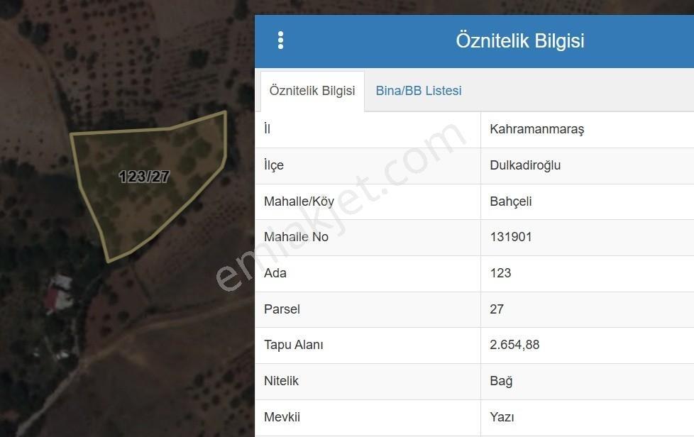 Coldwell Banker'den Bahçeli Mah.de Satılık Bağ - Görsel 9