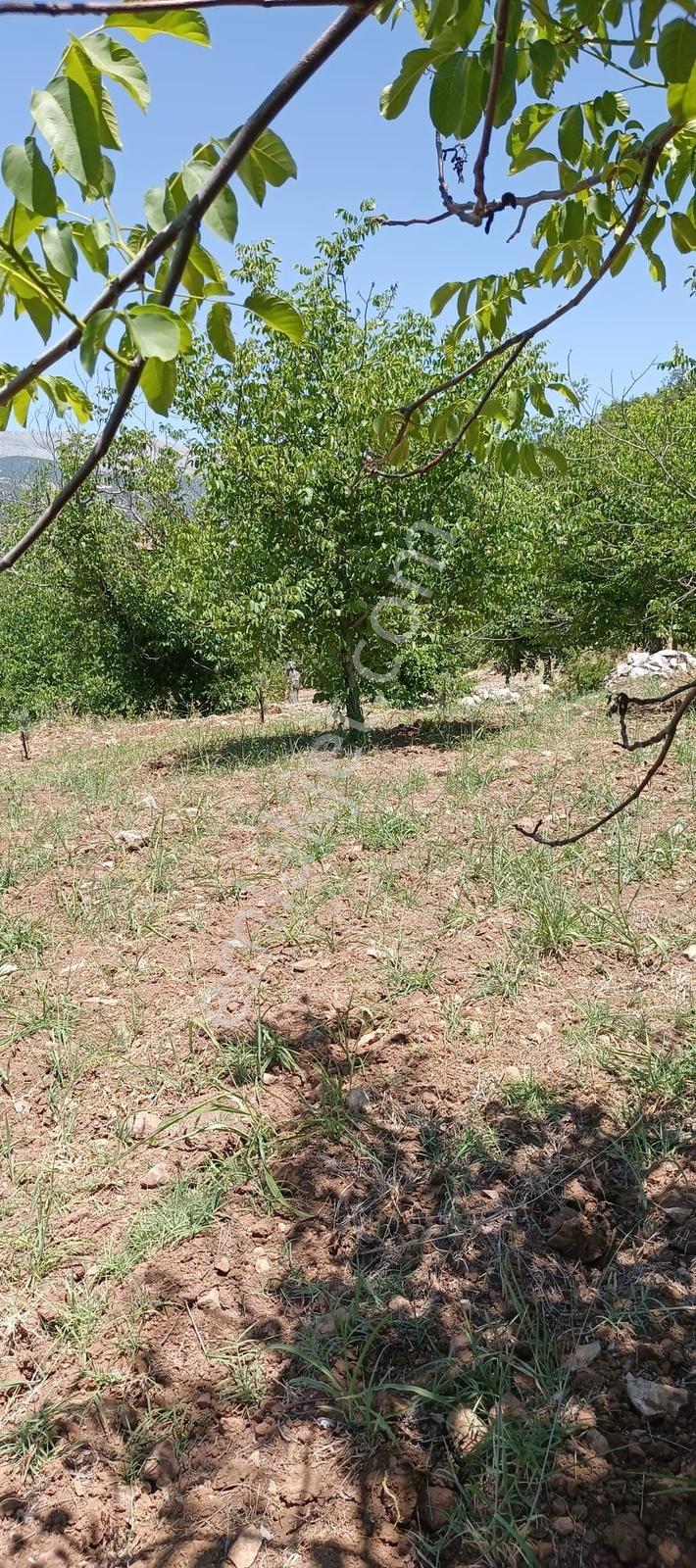 Coldwell Banker'den Bahçeli Mah.de Satılık Tarla - Görsel 11