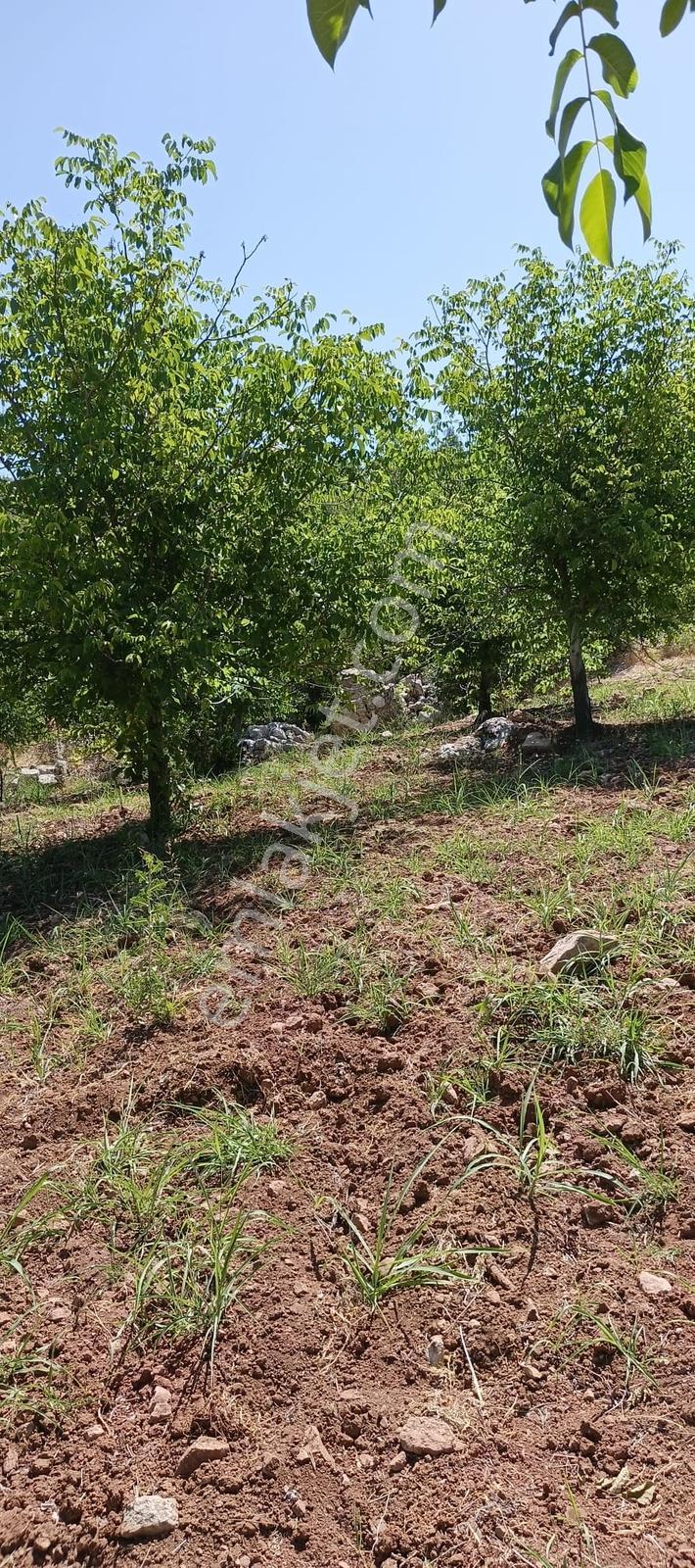 Coldwell Banker'den Bahçeli Mah.de Satılık Tarla - Görsel 17