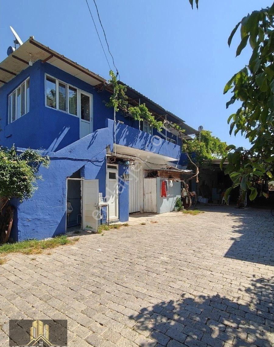 Aydın İncirliova Karabağ 'da Satılık Hayvan Çiftliği - Görsel 14