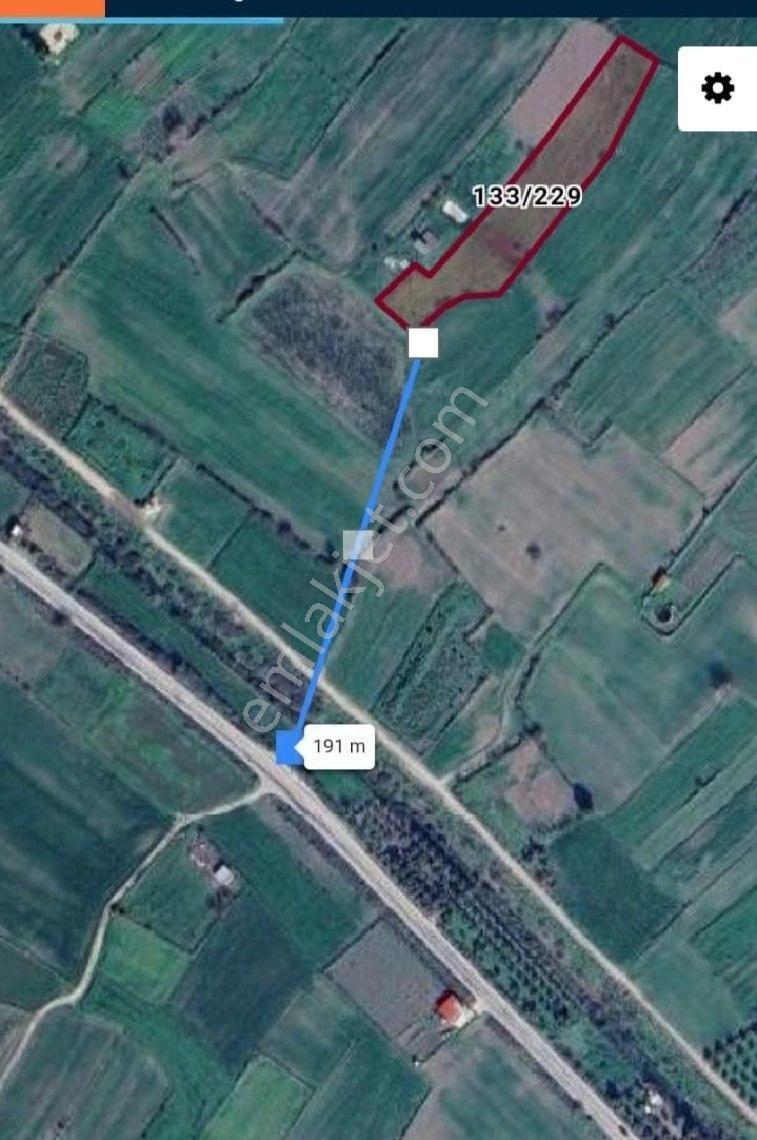Kiralik Tarla Bodrum Mumcular Denize 3 Km. Anayola 200 Mt. 4.140 M2 Tarla - Görsel 3