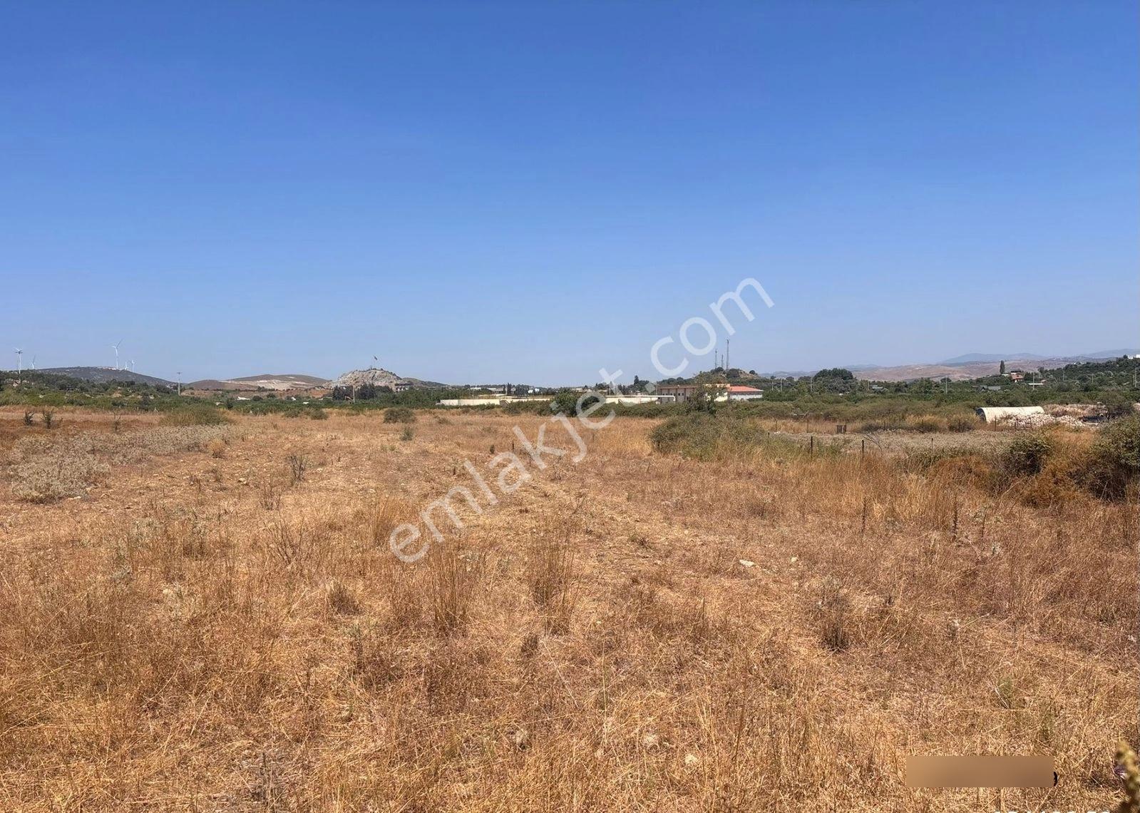 Seferihisar Hıdırlıkta 10.923m2 Yola Cephe Yatırımlık Satılık Tarla - Görsel 6