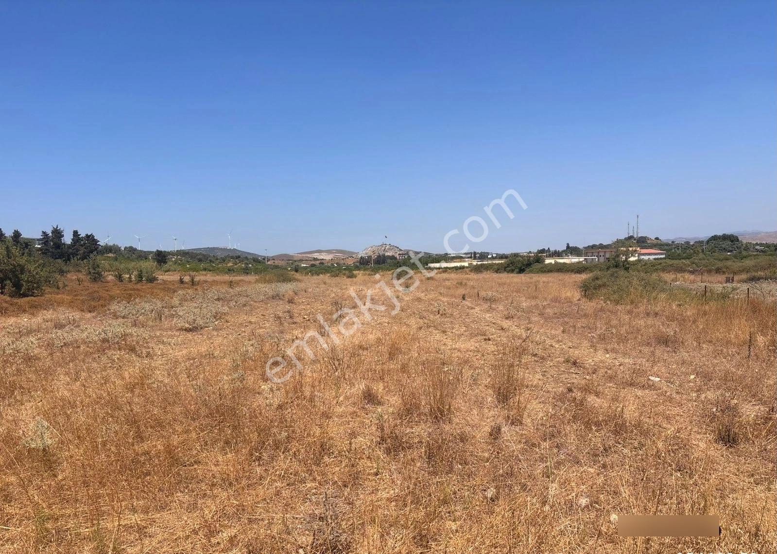 Seferihisar Hıdırlıkta 10.923m2 Yola Cephe Yatırımlık Satılık Tarla - Görsel 4