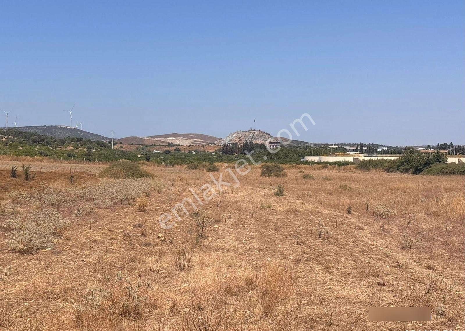 Seferihisar Hıdırlıkta 10.923m2 Yola Cephe Yatırımlık Satılık Tarla - Görsel 2