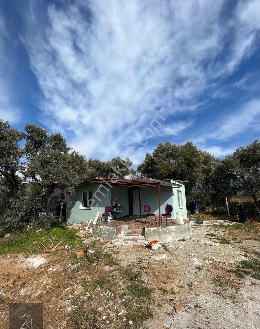 Kemalpaşa Cumalıda İçinde Ev Olan 340 M2 Satılık Tarla - Görsel 2