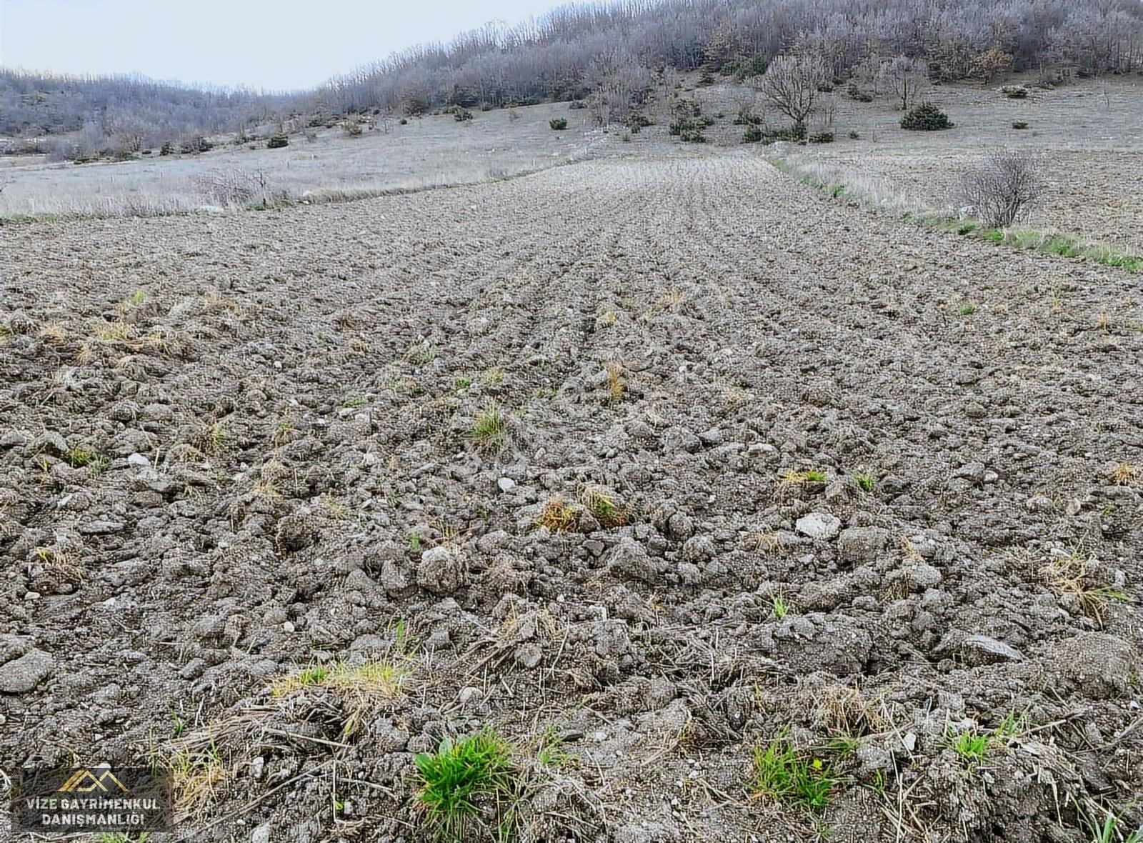 Evrencikte Asfalta Cephe 1.995 M2 Satılık Tek Tapu Tarla - Görsel 2