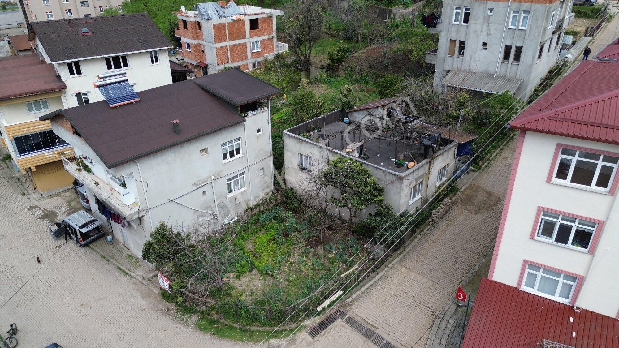 Z Grup Fatsa Yenioazar Mah Satılık %40 İmarlı Ticari+konut Arsası - Görsel 13