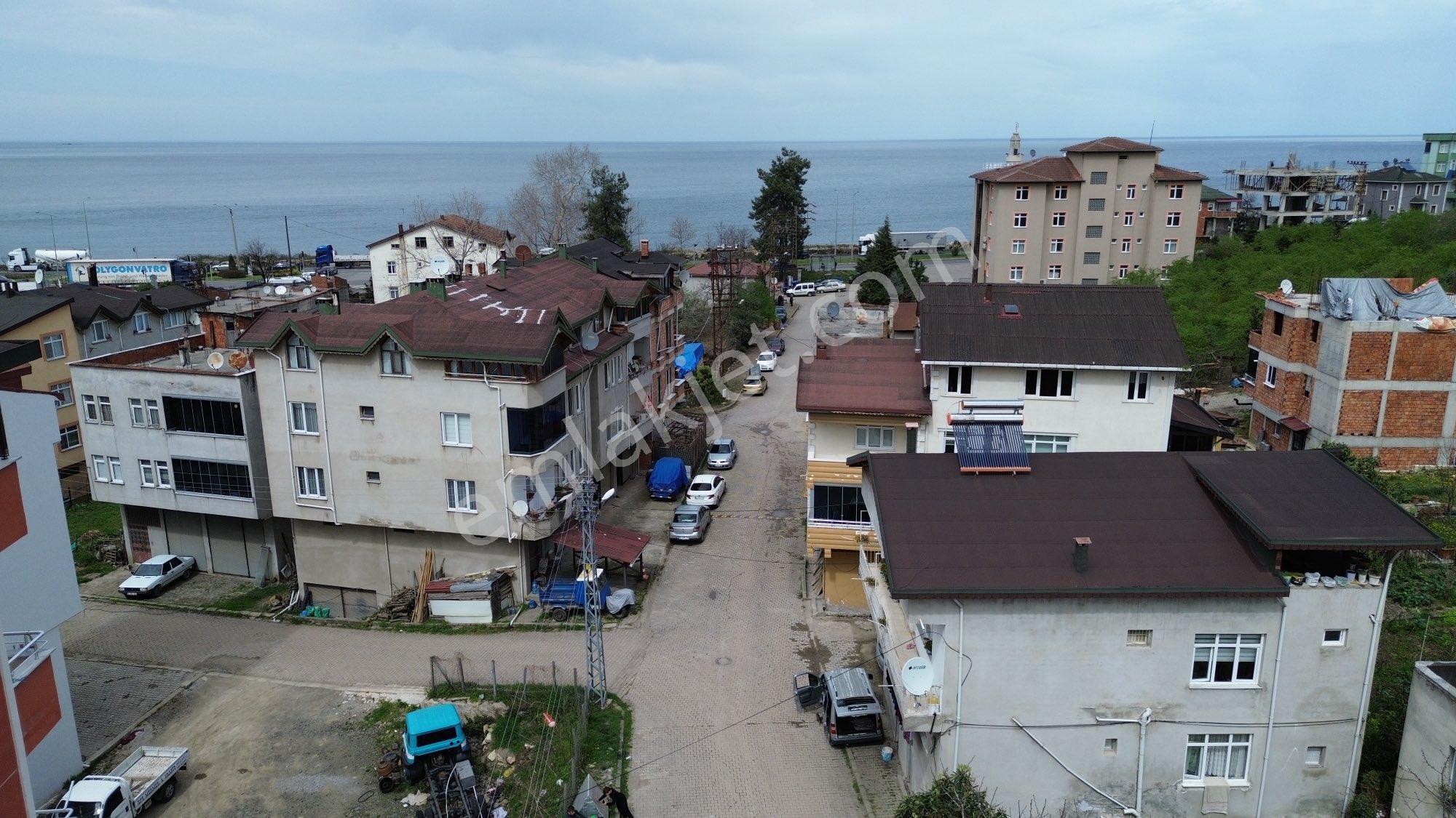 Z Grup Fatsa Yenioazar Mah Satılık %40 İmarlı Ticari+konut Arsası - Görsel 12
