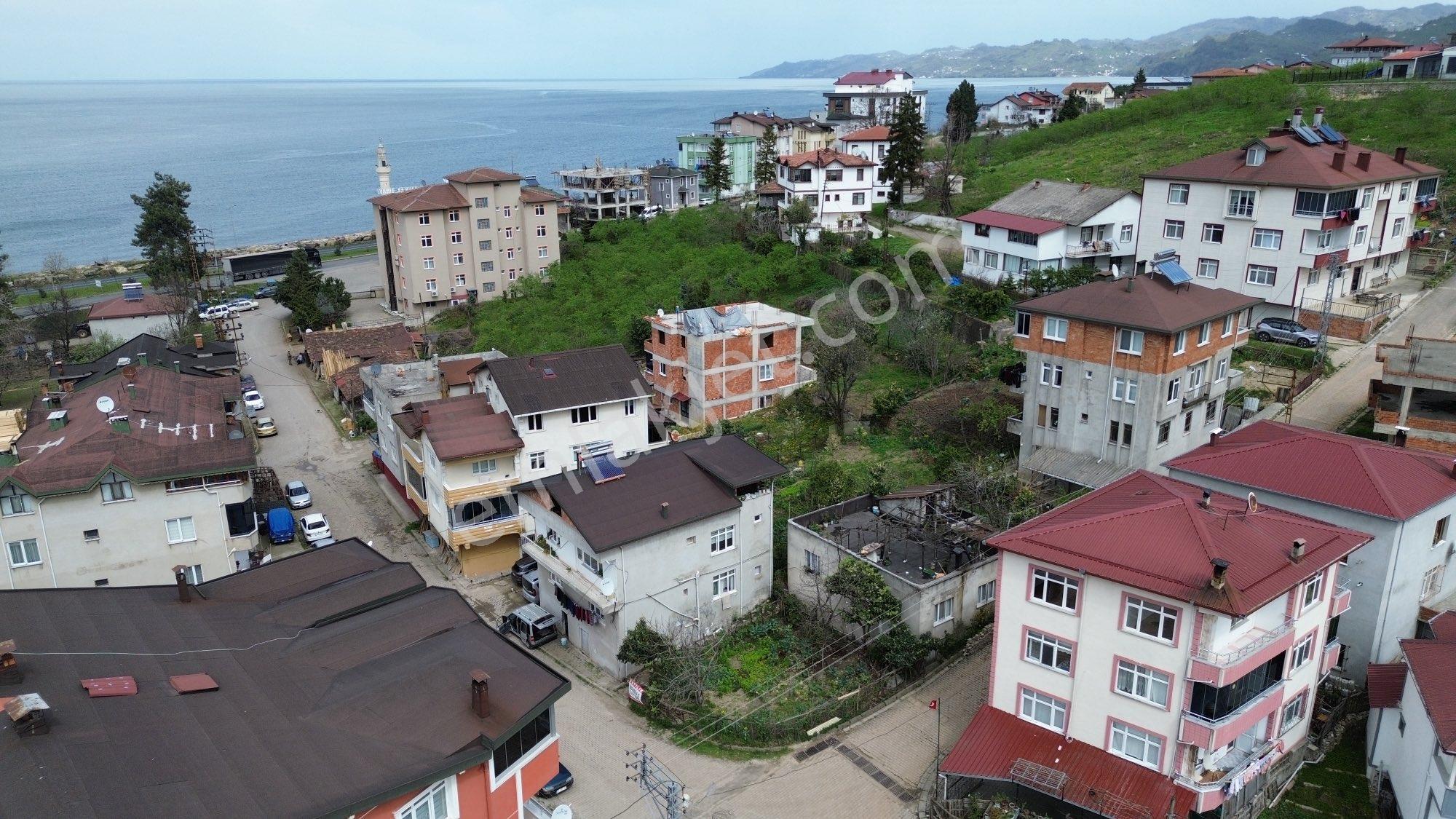 Z Grup Fatsa Yenioazar Mah Satılık %40 İmarlı Ticari+konut Arsası - Görsel 19