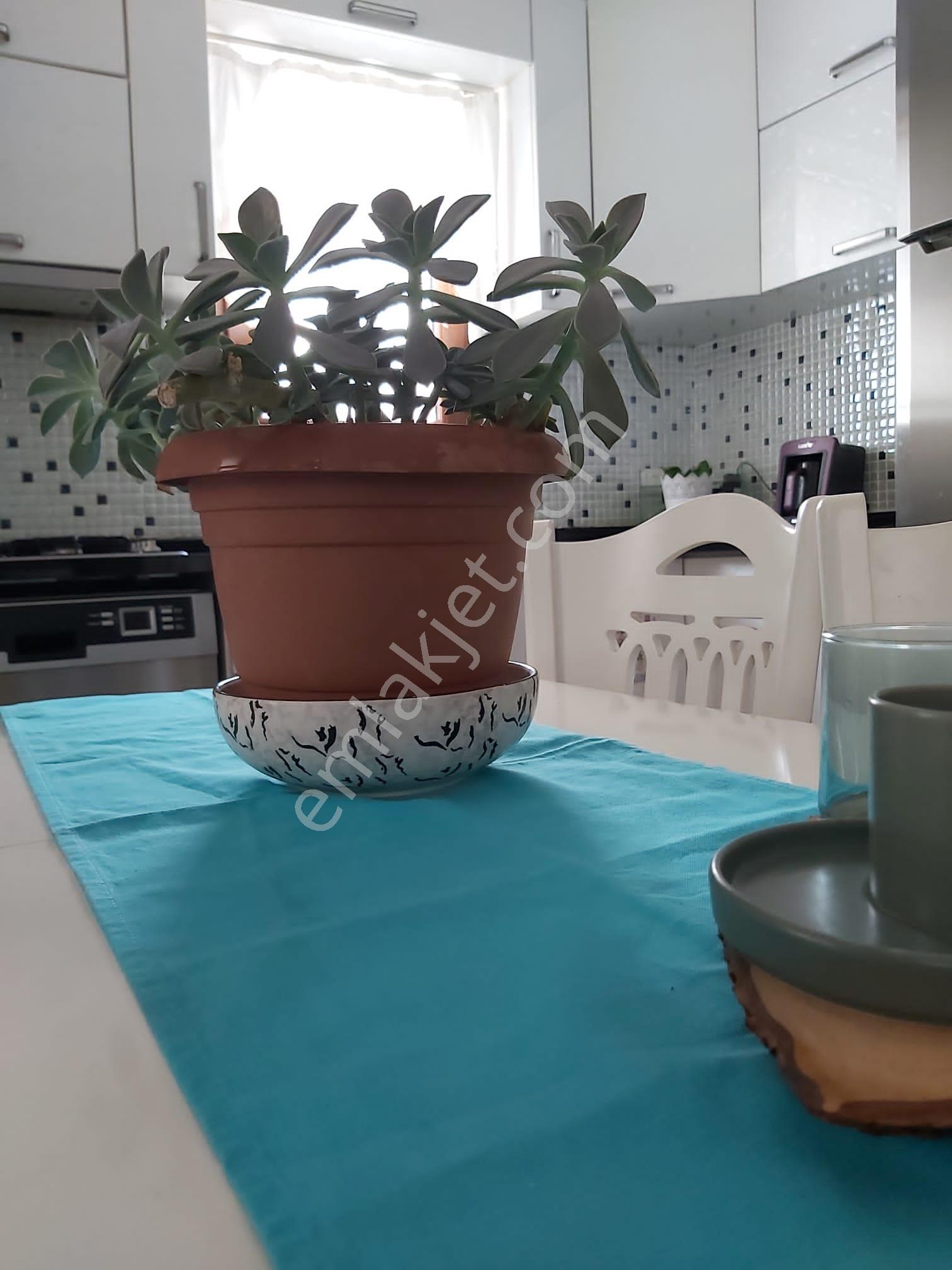 Merkez Umurca Mahallesinde Müstakil Bahçeli Extra Geniş Daire - Görsel 34