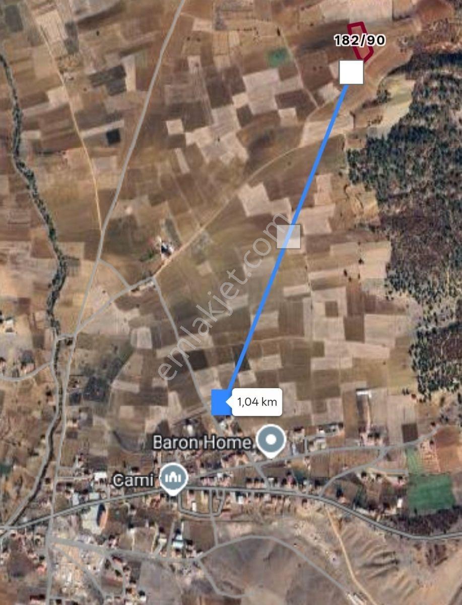 Beyşehir'de Yola Cephe Tarla️ - Görsel 9