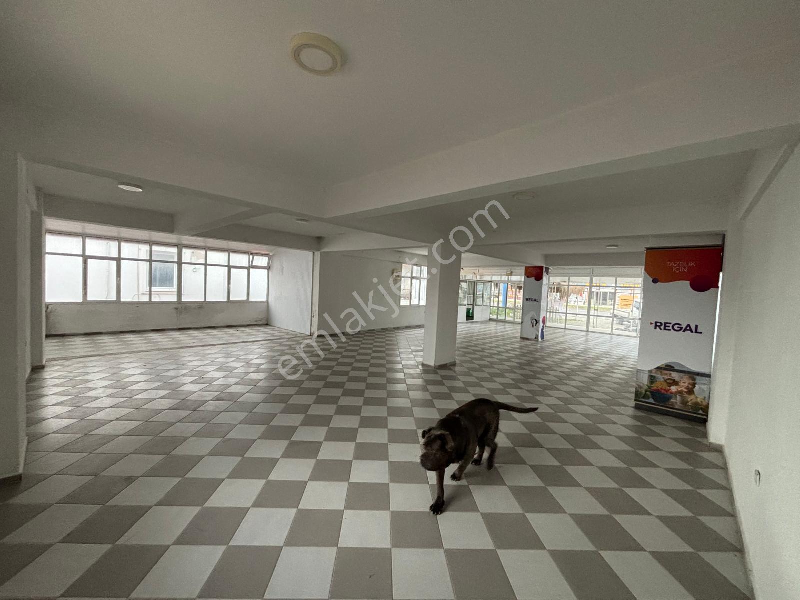 Mordoğan Ana Yol Üzeri 200 M2 Kiralık Dükkan - Görsel 4