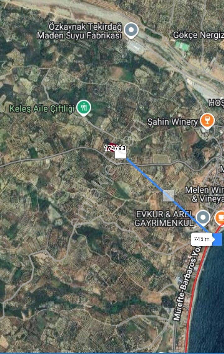 Re/max Land'den Deniz Manzaralı Zeytinlik - Görsel 4