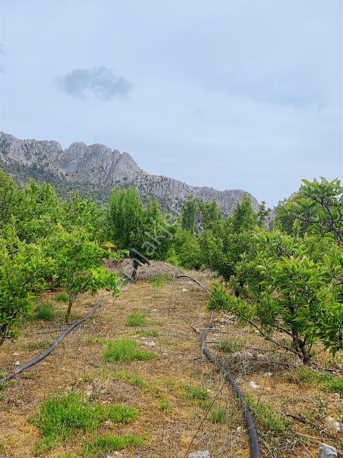 Sorgun'da Merkezi Konumda 3.372m2 Fırsatı !! - Görsel 13