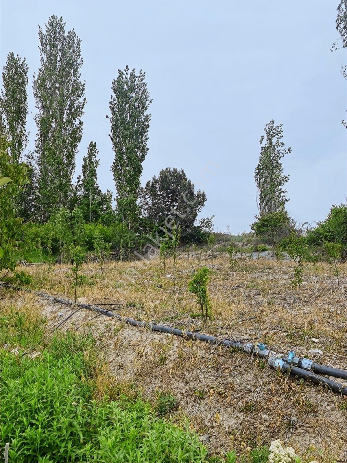 Sorgun'da Merkezi Konumda 3.372m2 Fırsatı !! - Görsel 10