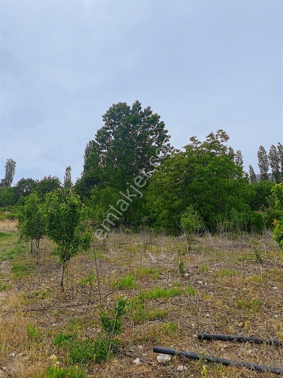 Sorgun'da Merkezi Konumda 3.372m2 Fırsatı !! - Görsel 4